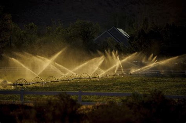 Colorado River | AP News